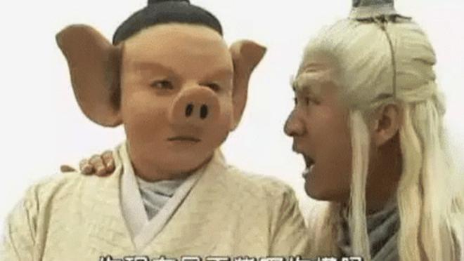 刘涛|演过“猪”的4个演员，第一个最经典，最后一个看了想吐