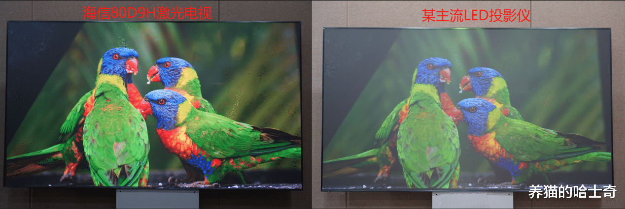 营收|万元高端电视首选？实测海信全色激光电视 80D9H用起来多爽