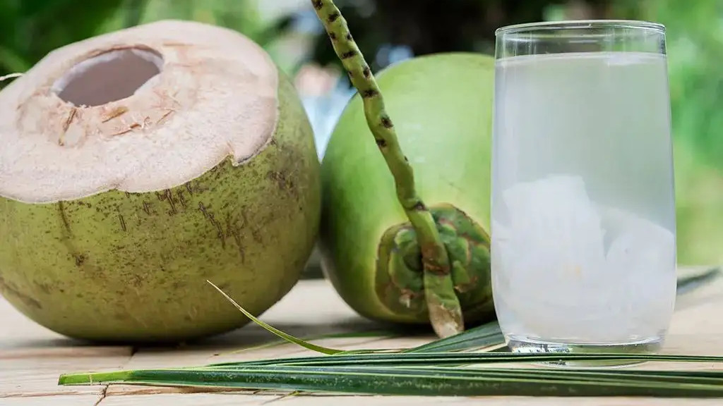 洋葱|西方人400年前发明的餐饮习惯，被这个中国人改变了