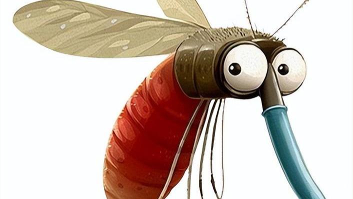 疾病|蚊虫叮咬会传播艾滋病么？看完秒懂