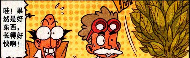 |星太奇:奋豆“表白遭拒”心灰意冷,老古“秀发再生”欣喜若狂