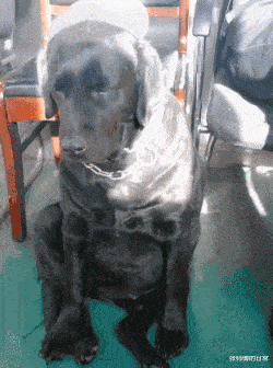 |“三大运营商都确认过了，说不是他们的线，”人是早上走得很安详