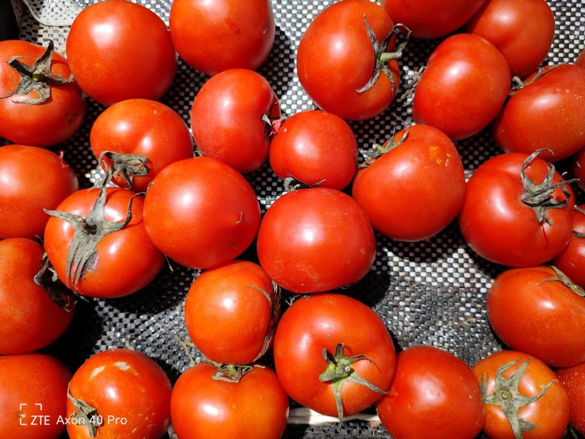 中兴|中兴Axon40 Pro：能拍能打的它，能给我记录了什么样的瞬间