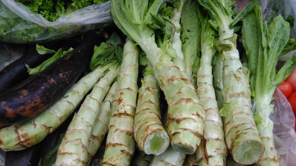 食盐|买莴笋，“带叶”和“不带叶”区别大，牢记4买2不买，新鲜不空心