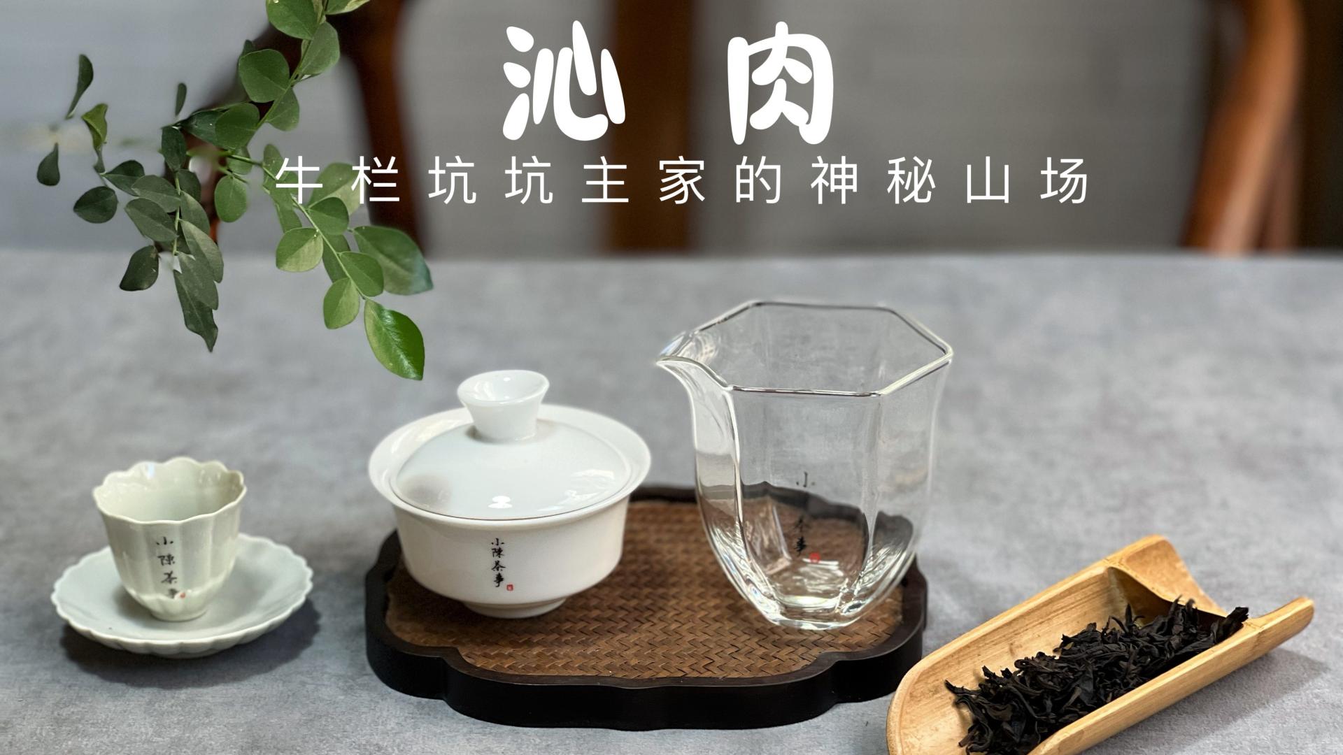 口腔溃疡|第一泡闷30秒，第二泡60秒，第三泡90秒，这就是正确的喝茶方式？