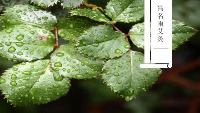 补肾|痰阻：久病必有痰，久治不愈的病症，可以从这个穴位入手