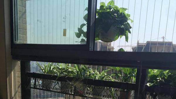 第一次见阳台防盗网这样装，很是美观，朋友们见了都夸好！