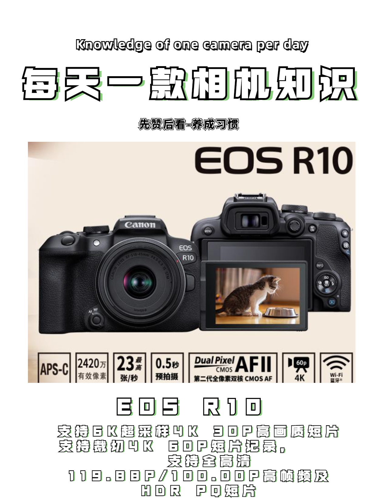 荣耀|每天一款相机知识—EOS R10
