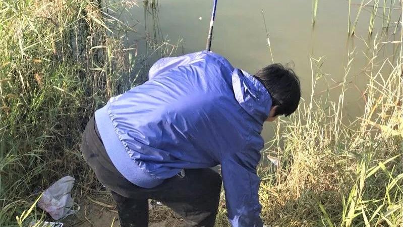 枸杞|晚春钓鱼不能钓草？这些地方才是春末夏初垂钓的好钓位