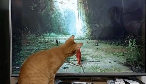 |7月最大黑马？上架1天1万多条好评，成为Steam年度最高分游戏