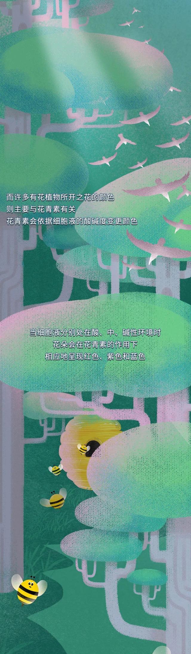 漫画|漫画曝光:世界上“最神秘”的颜色,难怪文艺青年都喜欢