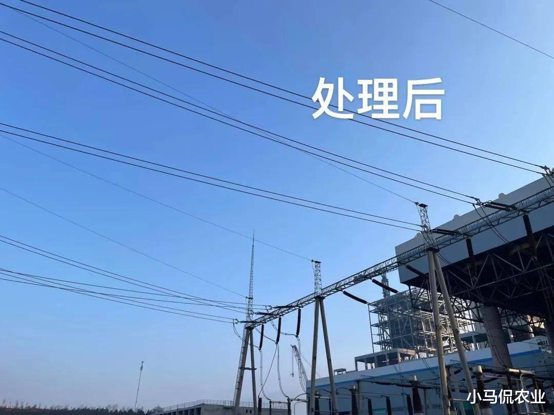 机器人|国外小伙造激光机器人1小时除草10万株,地毯式“轰炸”,AI识别