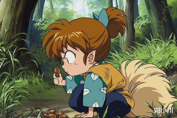 |在犬夜叉里面，七宝起到什么作用？