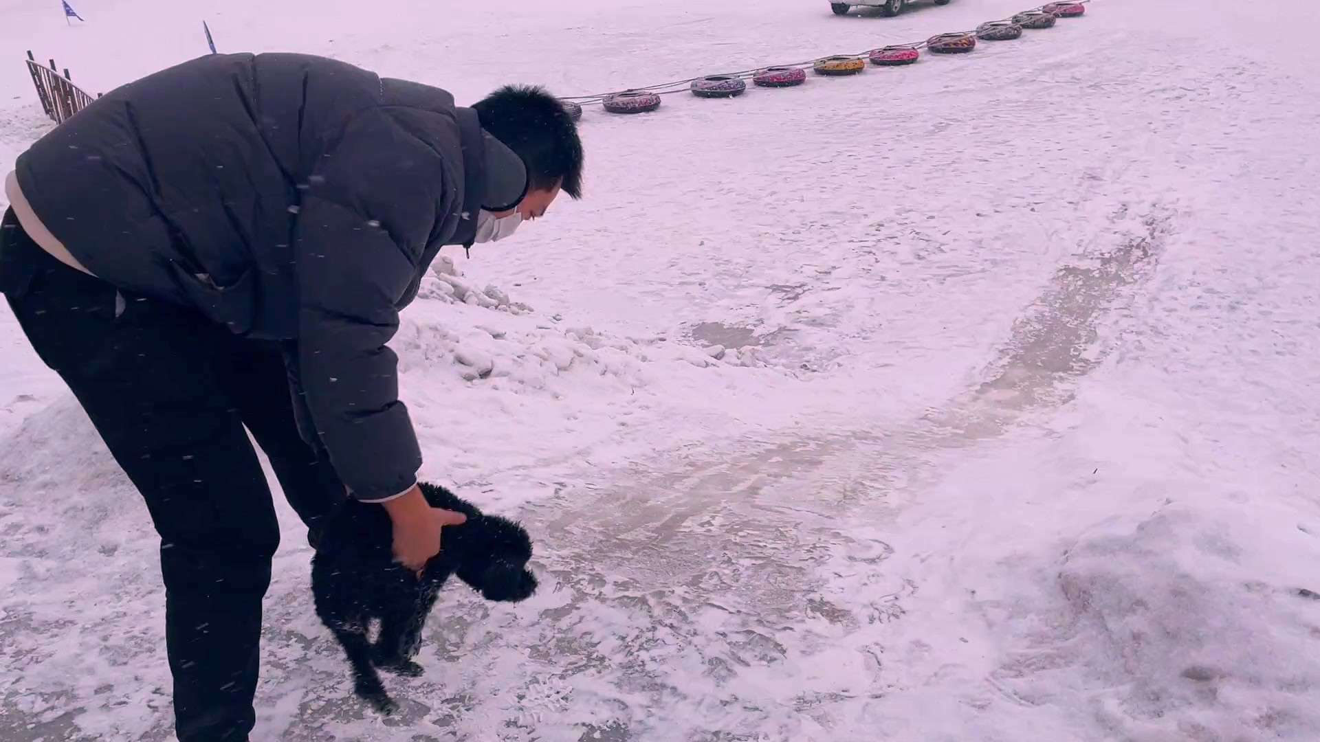 给狗子玩下滑雪，让它也体验一下快乐生活