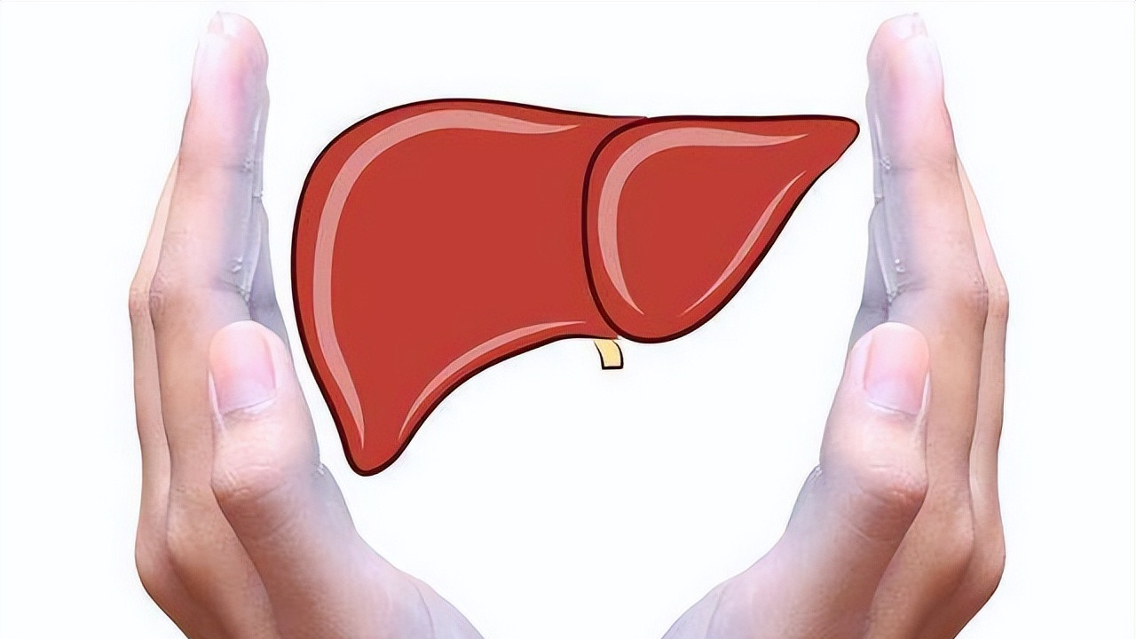 枸杞|肝气一调，百病全消，顺气第一方，行气化湿，肝脾同调