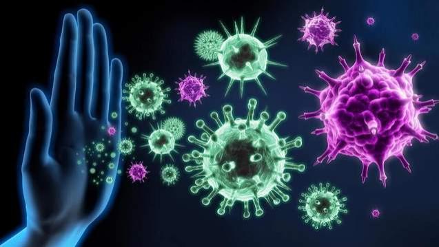 病毒的终极目的是什么？科学家给出清楚答案