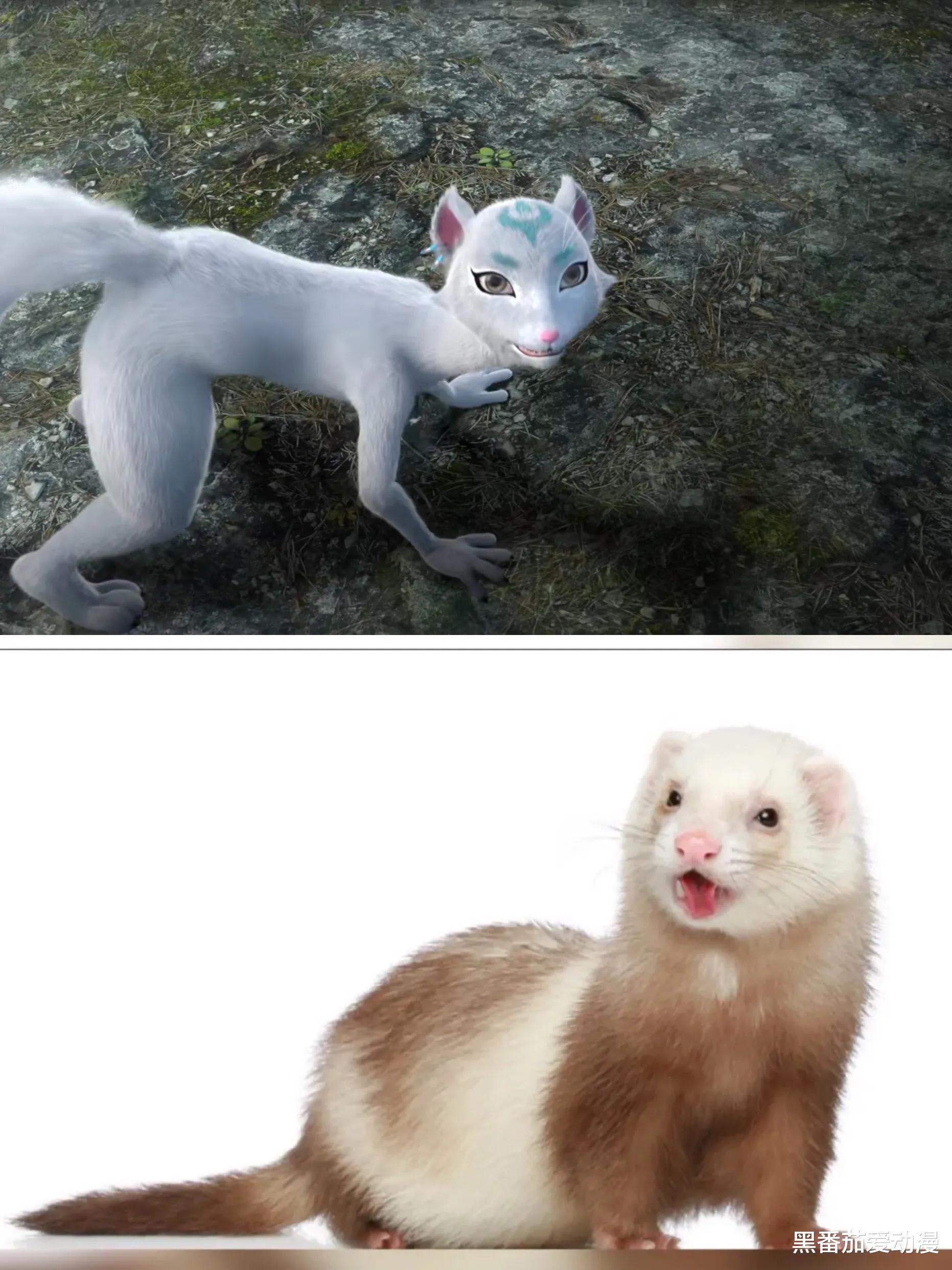 acgn漫评|动漫里的小可爱,谁是你的心头爱