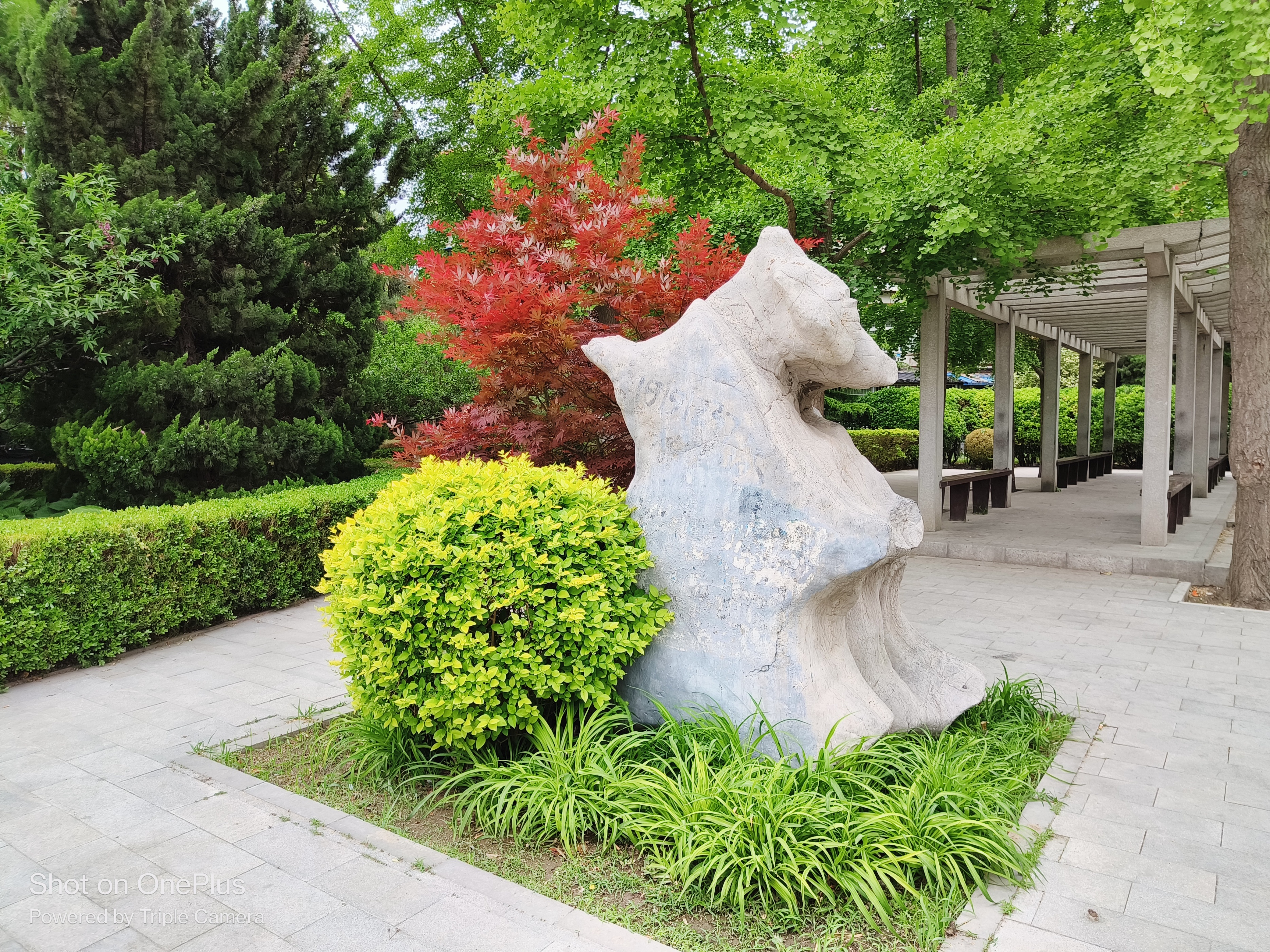 一加科技|一加Ace深度评测:有颜有料又能打 提前锁定年度水桶机