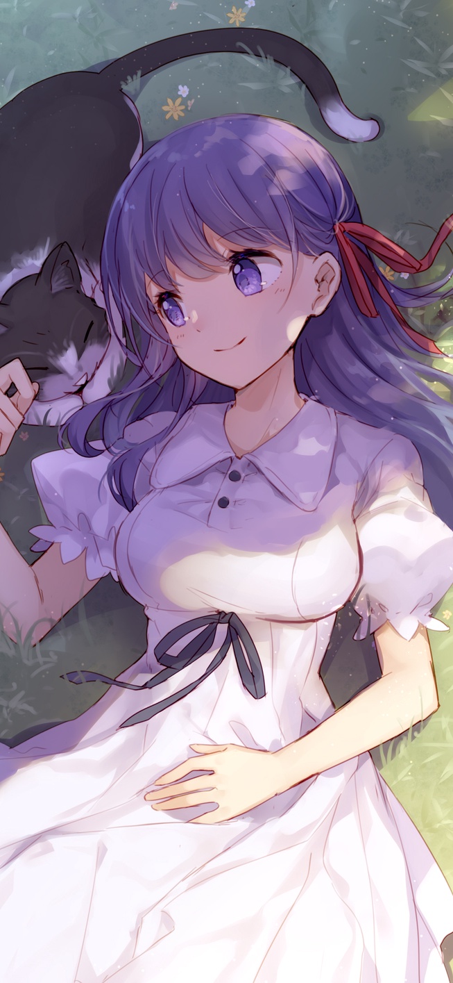 海贼王|动漫壁纸,今日也来分享