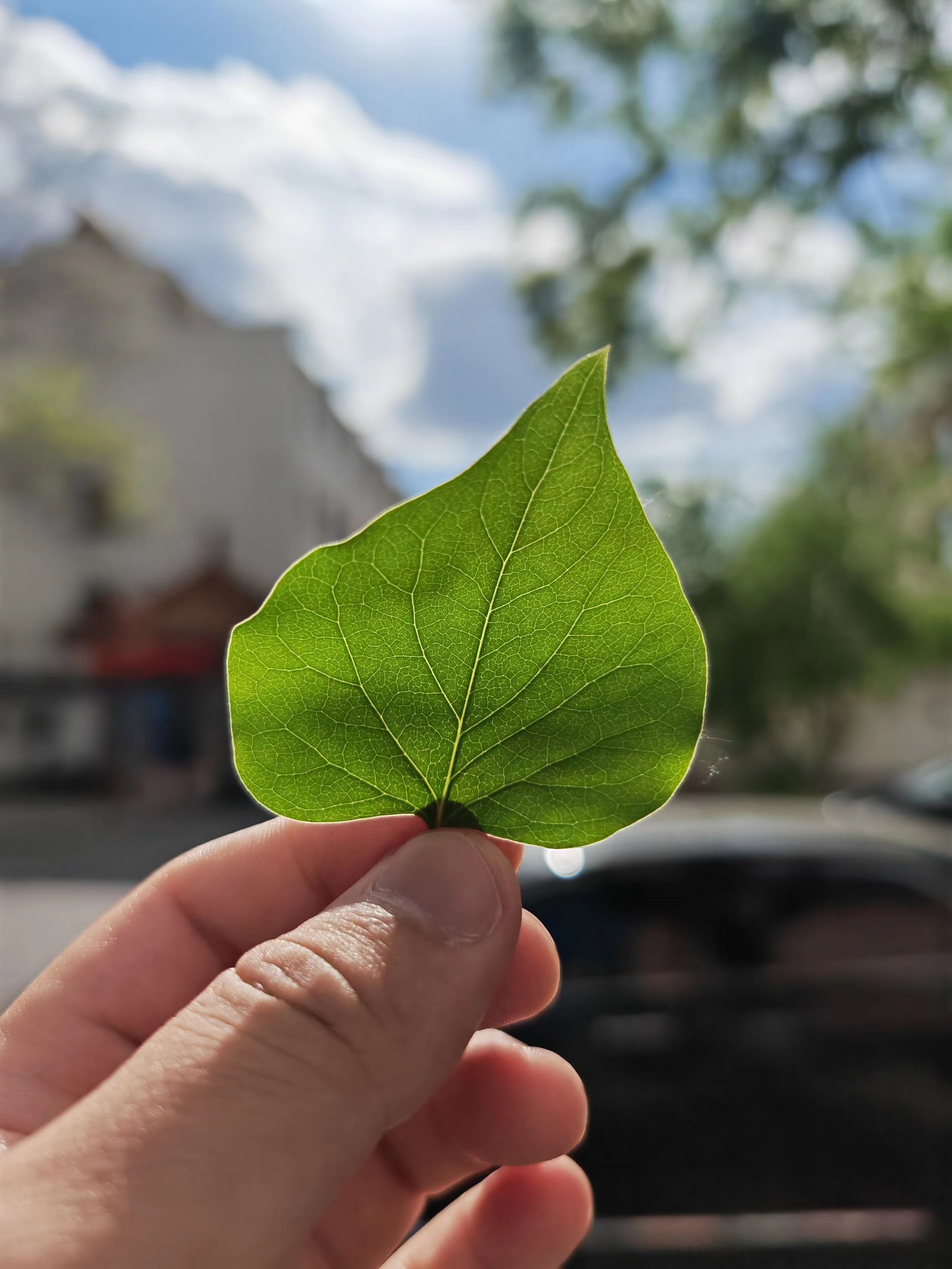红米Note|手机拍照不止看像素，想拍得好还得选旗舰，行内人推荐这四台！