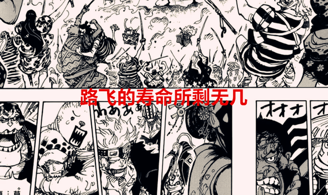 路飞|海贼王：路飞的寿命所剩无几，罗的果实觉醒后可以开启永生能力？