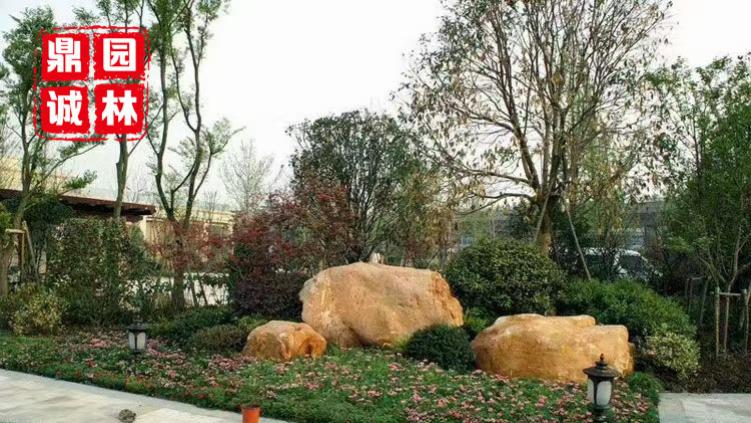 庭院景观 黄蜡石假山点缀造景庭院空间