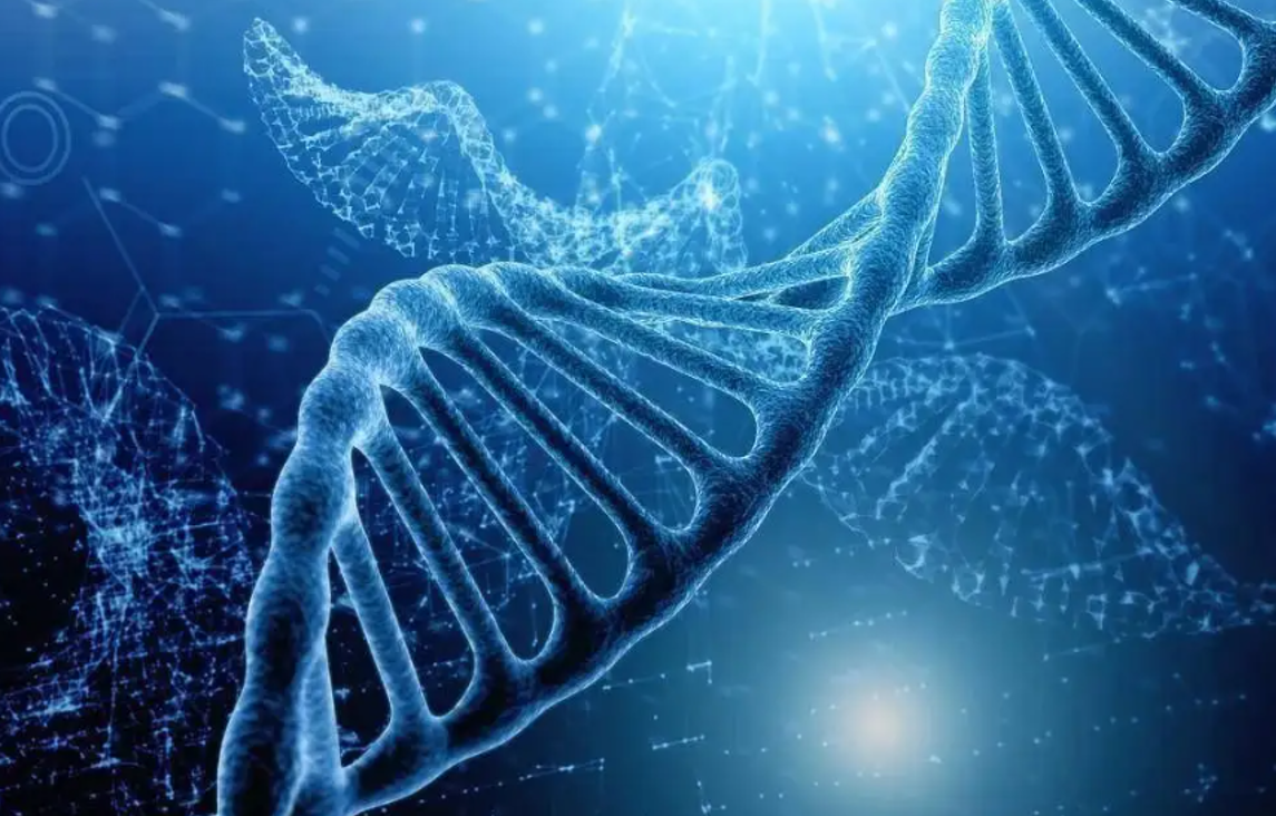 机器人|日本造仿生“女机器人”：内部构造大胆，将缓解男女比例失调？