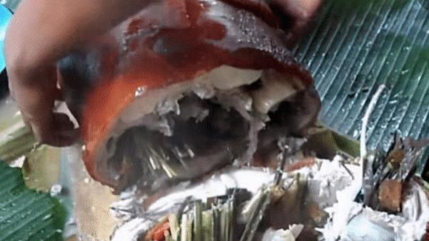 白菜|早就说了去泰国不要买烤乳猪，就是有人不听，看看又被坑了吧