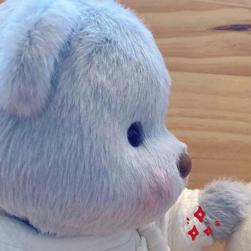 |动漫头像:试炼的终点是花开万里