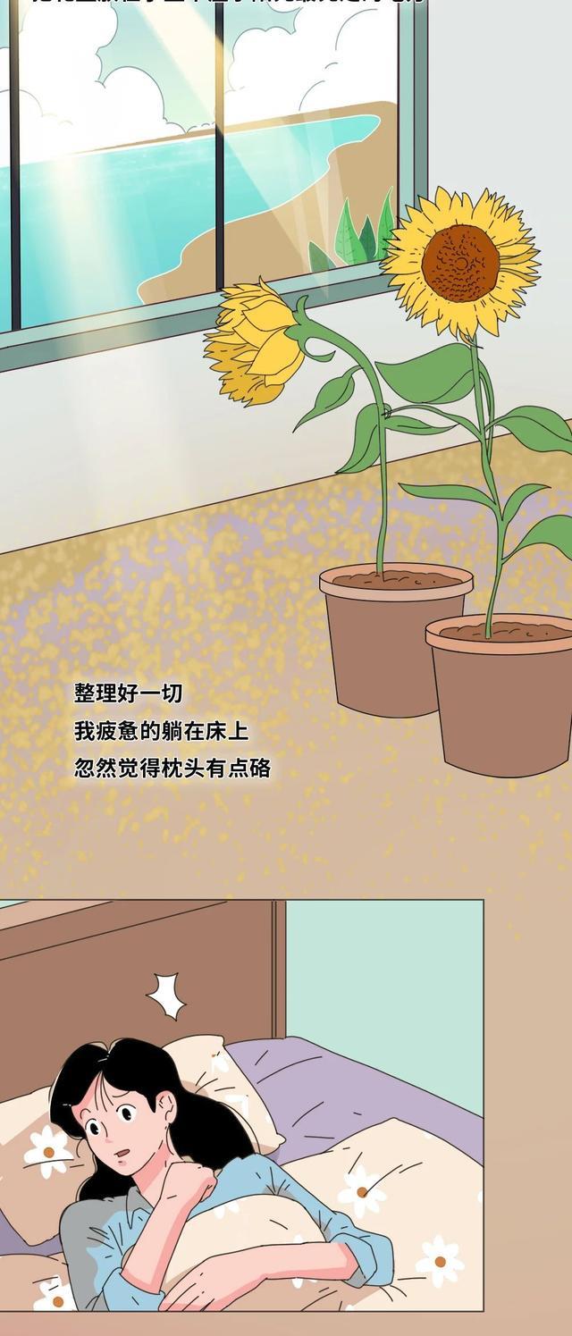 acgn漫评|“它爱了我5年,却被我亲手杀死了!”(漫画)结局感动了一群人