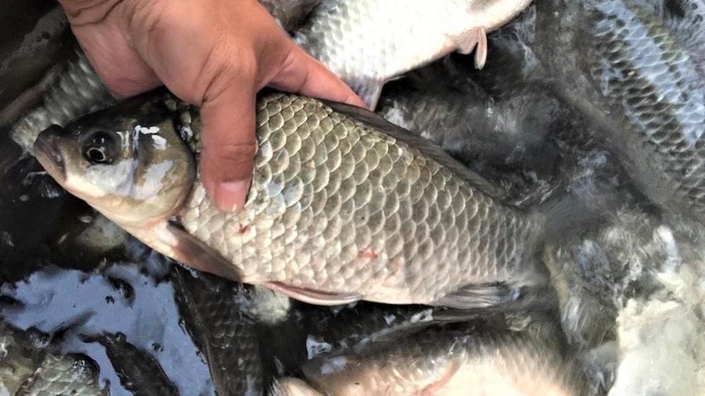 |春季遇大降温鱼不开口？从这几方面作出调整，渔获照样满满