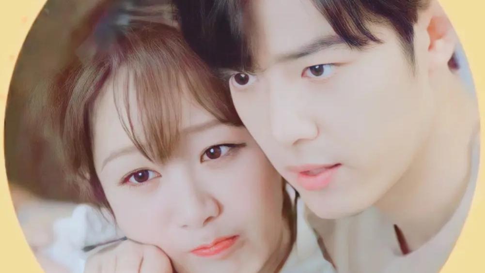 韩雪|谁说顾魏是直男？杨紫在线询问《余生》短信内容，肖战回答很绝