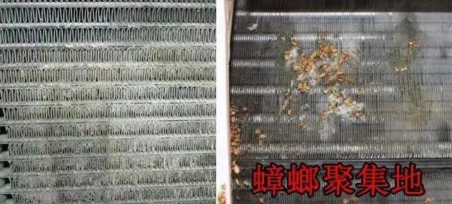 空调|别再花钱请人洗空调了,自己在家就能搞定,省钱还干净!