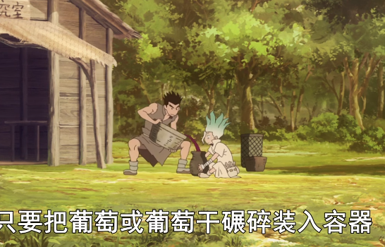 葡萄酒|Ｄｒ．ＳＴＯＮＥ 石纪元 论动漫中的硬核知识，葡萄酒与蒸馏酒！