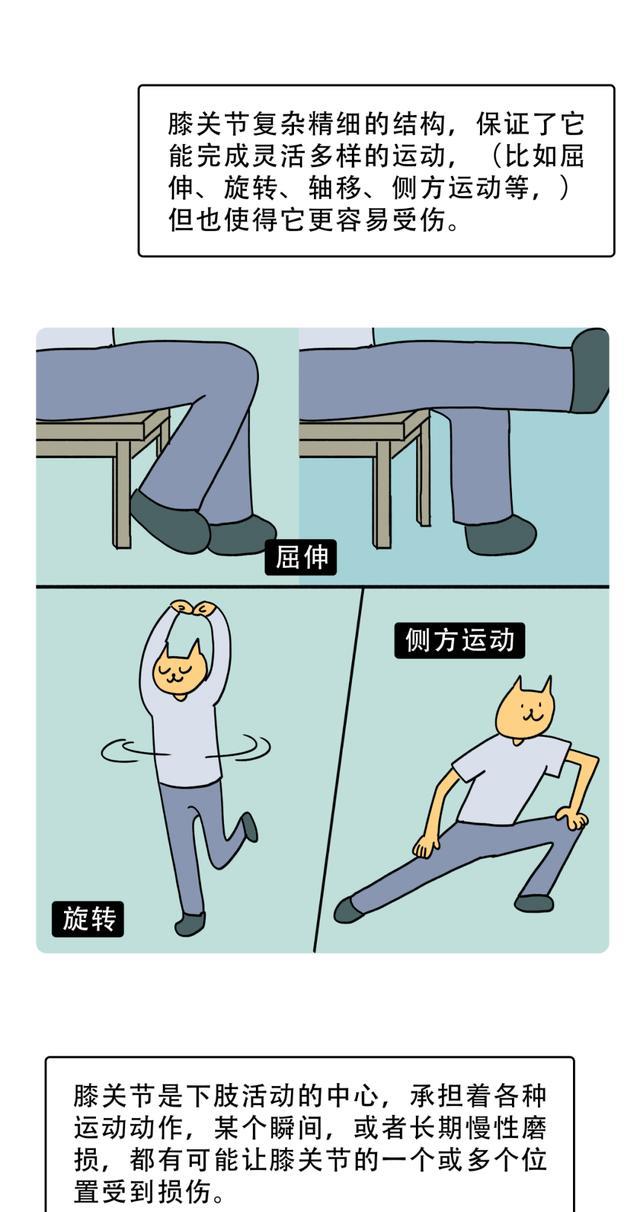 漫画|为什么人类要用“跪下”来表达崇拜？一组漫画告诉你答案