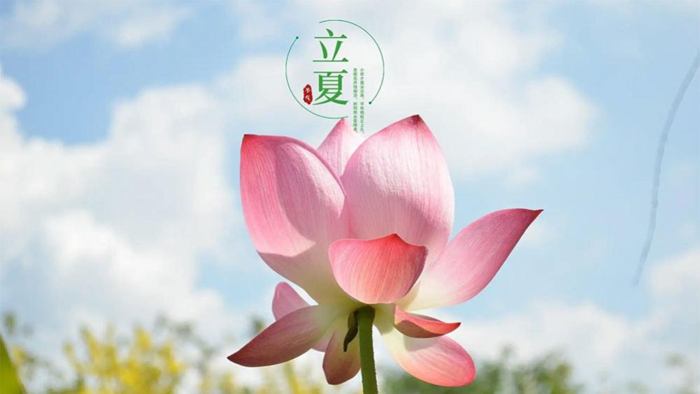 明日立夏，“补夏”有讲究，“食2肉吃5菜，忌2样”，夏天不受苦