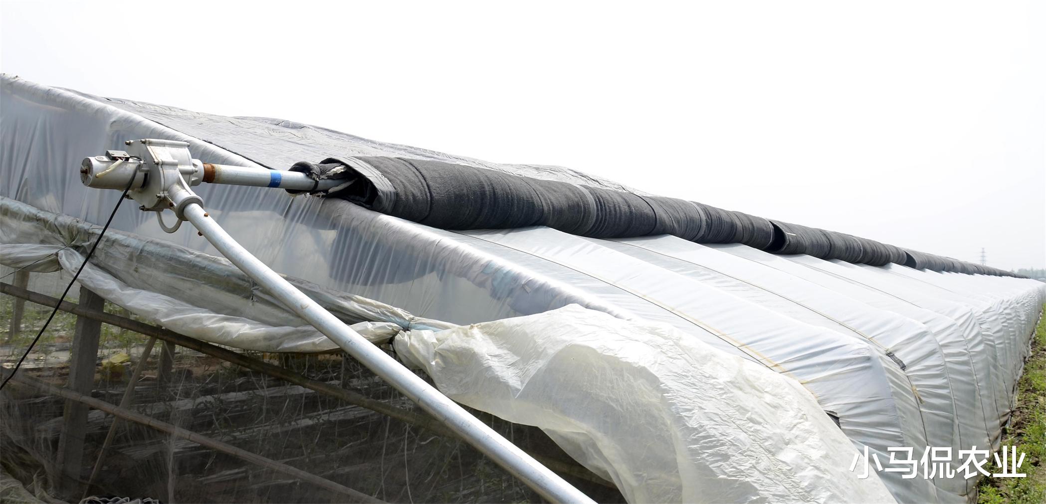 荣耀|国产智能大棚总成本比国外低80%，一部手机无人管理，效益提升8倍