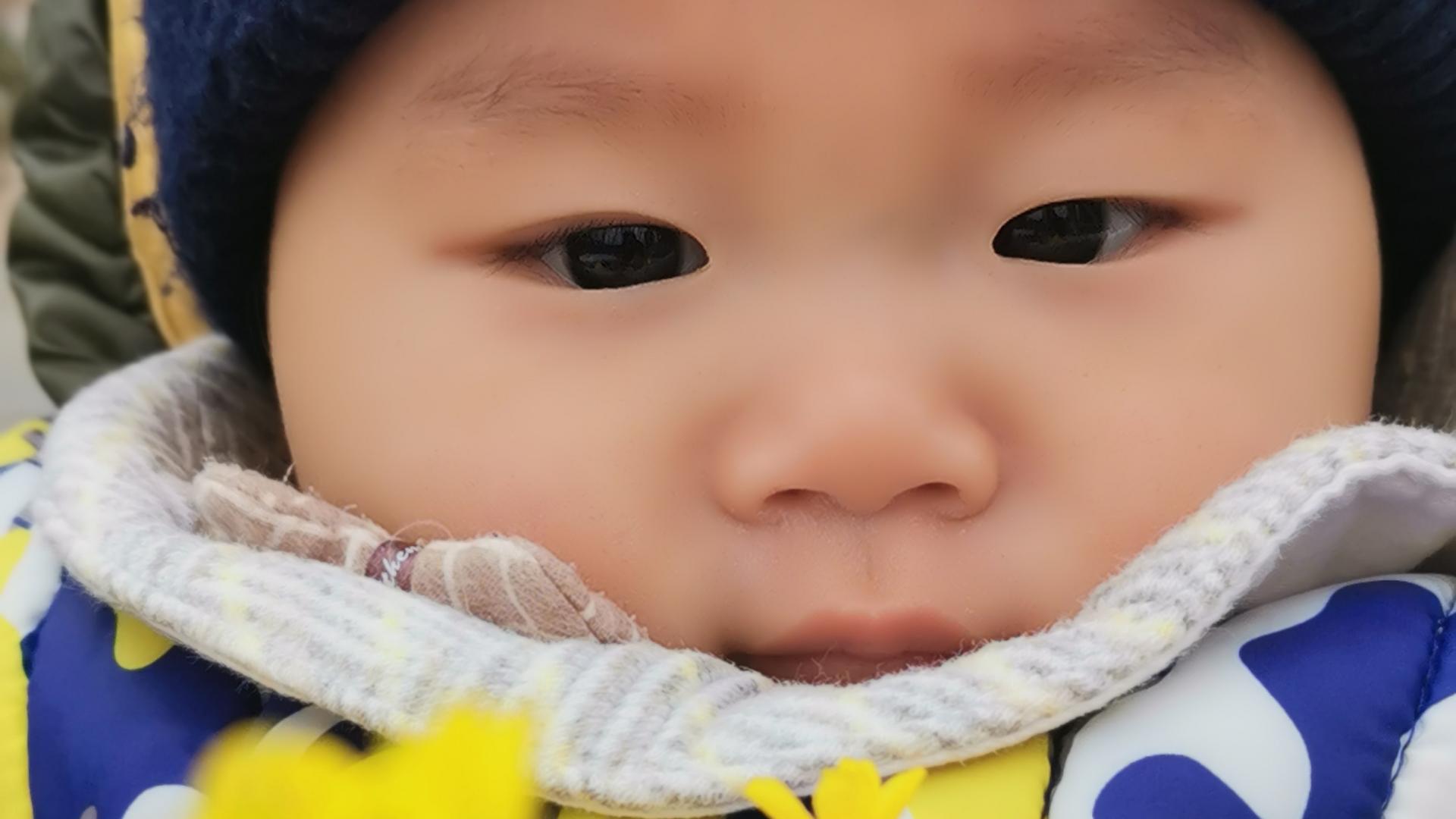 童真童趣--小汤米和花花