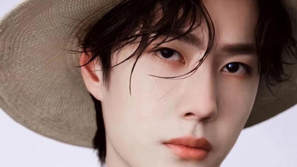 毛宁|明星那些众所周知的本名，任嘉伦的艺名和本名各火各的