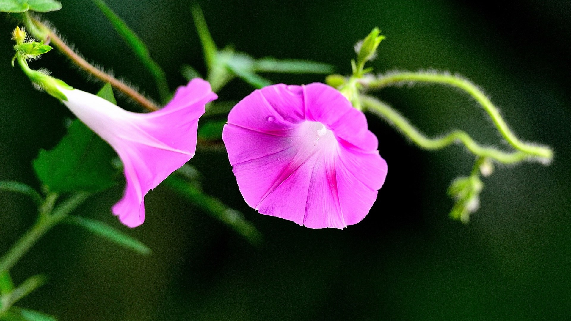 |一个高情商的人，早就认清了这三个“社交错觉”