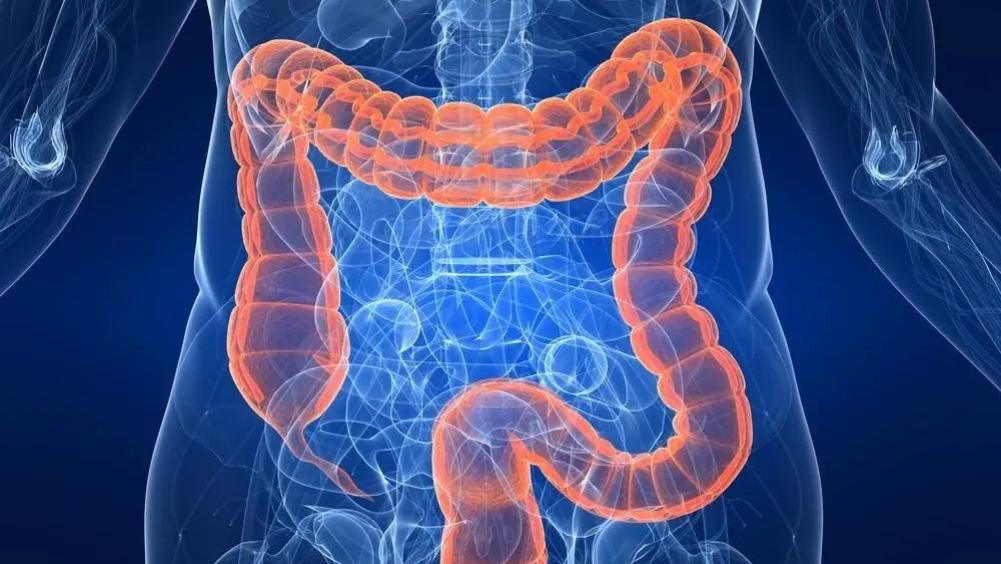 疾病|世界肠道健康日 | 你的肠道还好吗？不知道这些“肠”识可不行