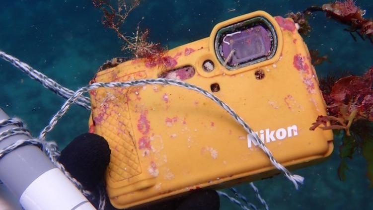 华为鸿蒙系统|尼康Nikon 四防数码相机沉入海底一年后仍可使用