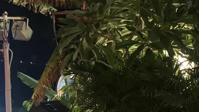 莫斯科|郭艾伦孙铭徽相继脱单！与女友甜蜜互动，球迷：压力来到赵睿这边