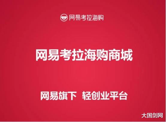 阿里巴巴|业务团队只剩20人，被阿里收购的“考拉海购”， 也没能逃过被遗忘