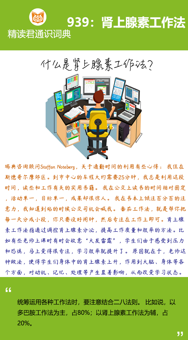 瑞典咨询顾问Staffan N