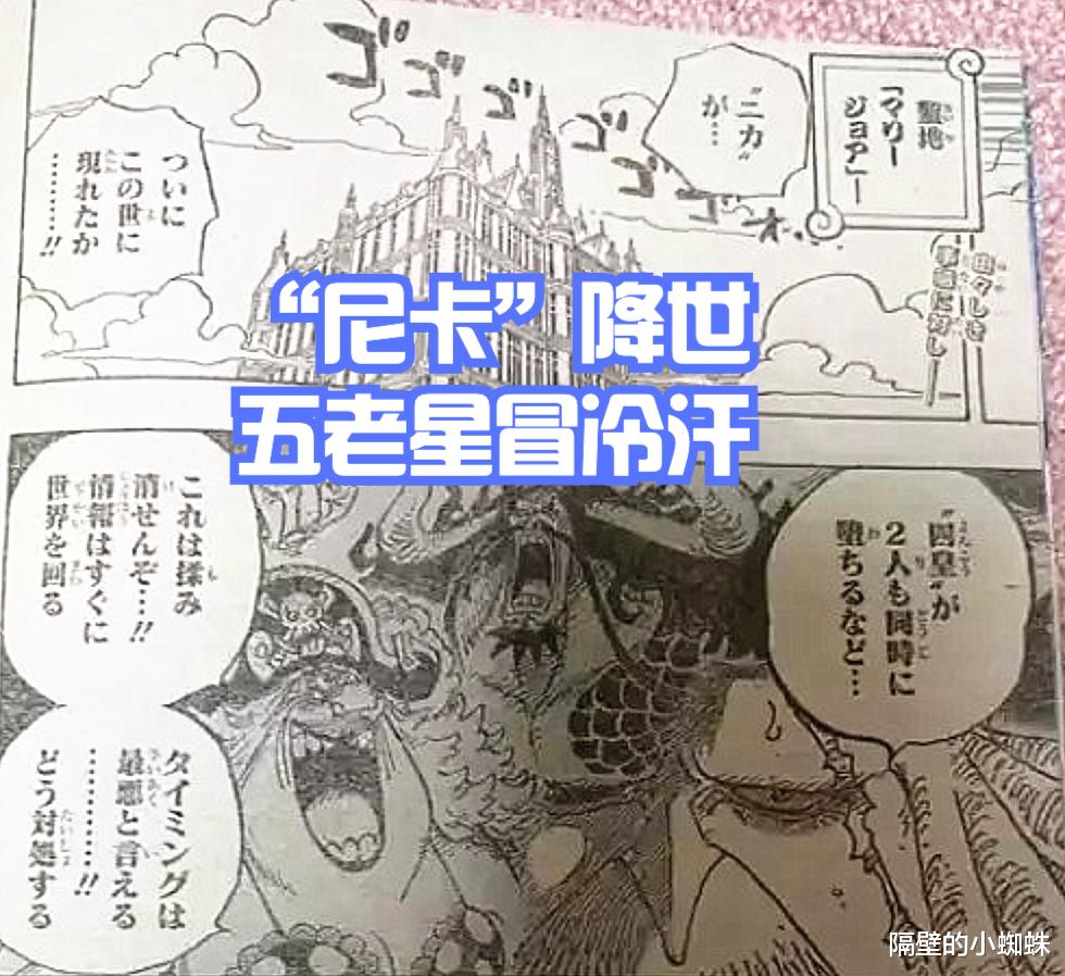 五老星|海贼王1052话情报图,罗宾被CP0抓到了?霍金斯疑似战死