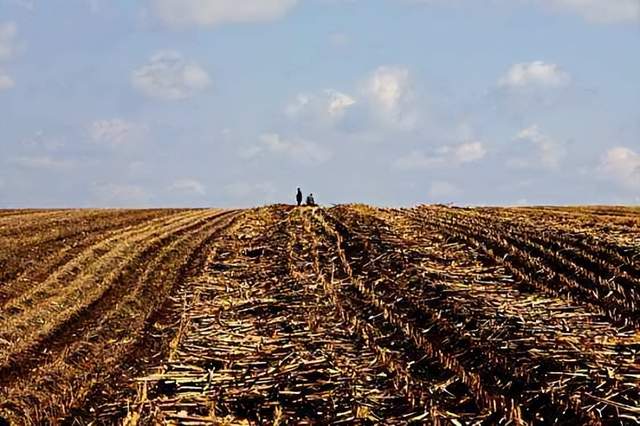 黑土地有多珍贵? 世界上仅有的3块黑土地, 分布在哪些国家