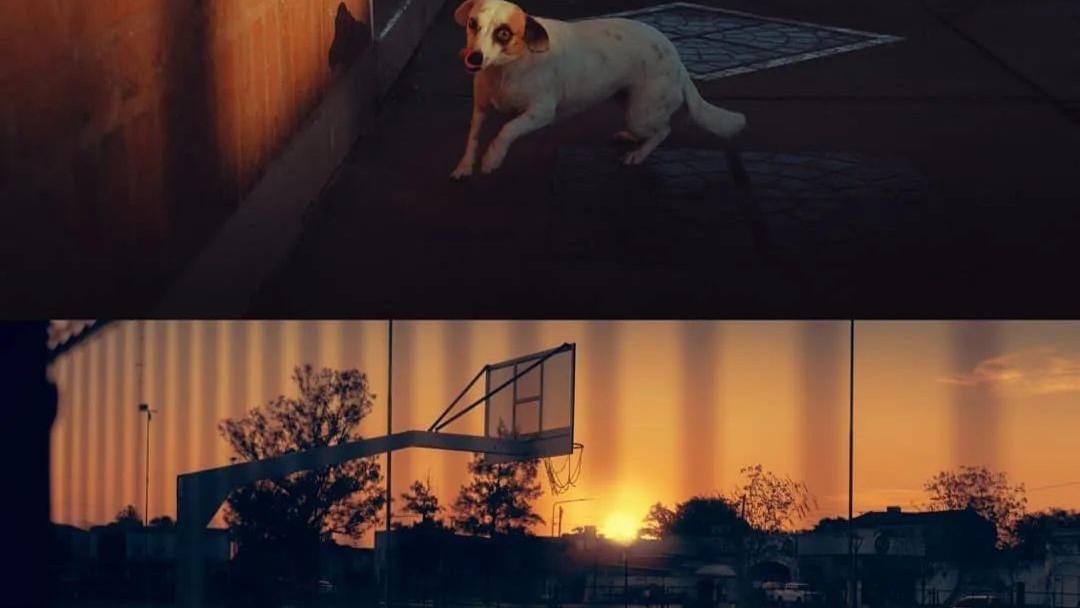 摄影技巧：怎么发朋友圈更吸引人？现在流行把照片拼起来