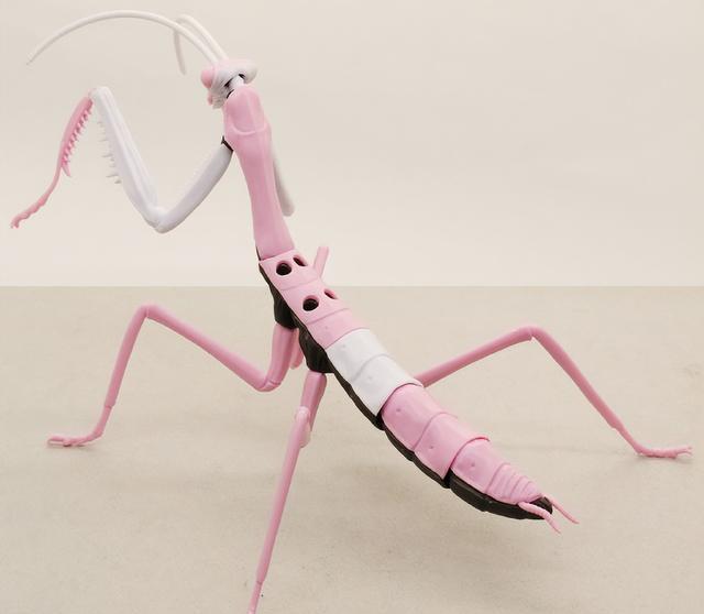 模型|EVA初号机式样、8号机式样螳螂