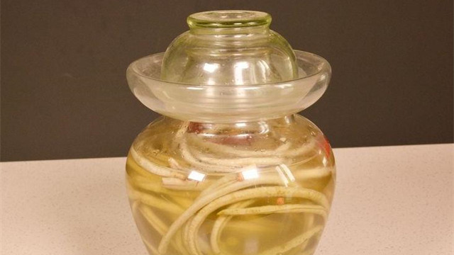 豆角|泡酸豆角最简单的方法，不发霉不生花，好吃又下饭，放一年都不坏